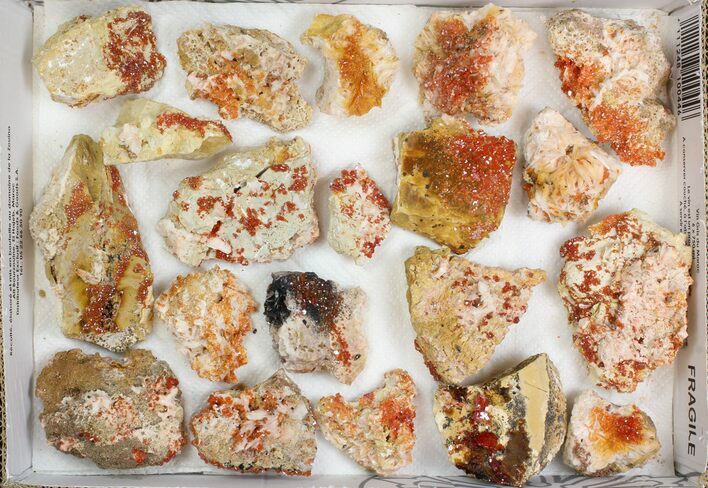 Lot: - Bladed Barite With Vanadinite - Pieces #138191